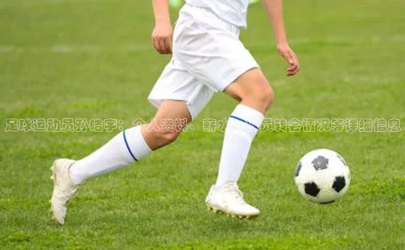 华体育综合app下载宣亚国际足球运动员孙皓宇：个人资料、薪水、球员转会情况等详细信息