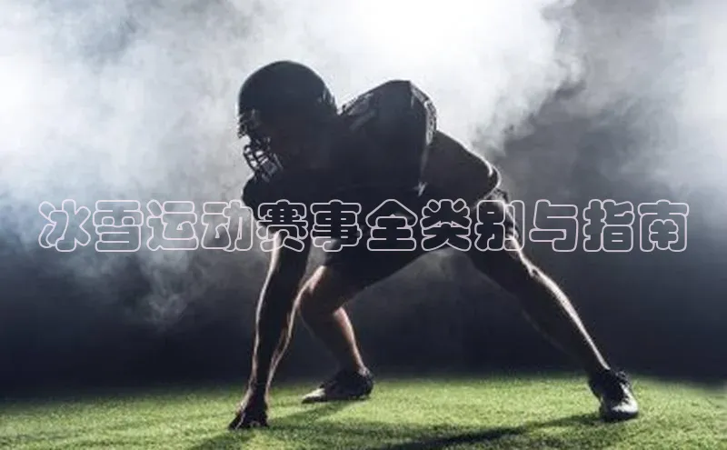 华体会体育手机版元隆雅图冰雪运动赛事全类别与指南