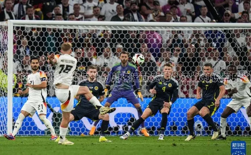 幼苗茁壮成长：如何让幼儿在运动赛事中汲取知识与乐趣