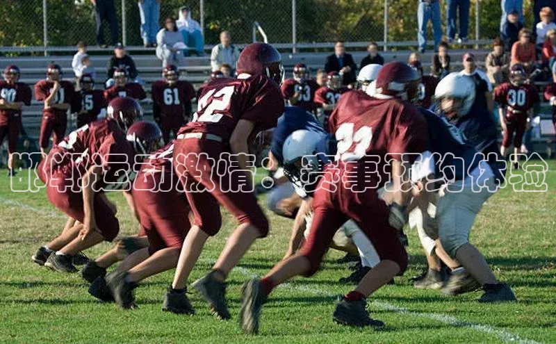 邯郸运动激情：赛事预约体验