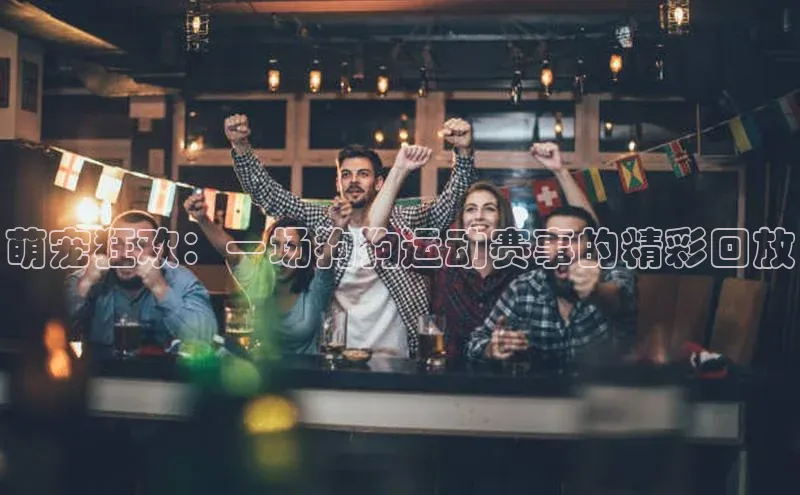 萌宠狂欢：一场狗狗运动赛事的精彩回放