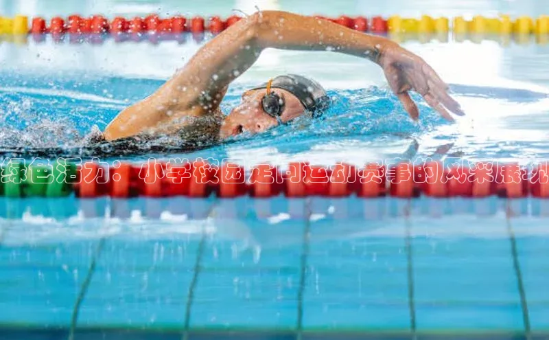 绿色活力：小学校园定向运动赛事的风采展现