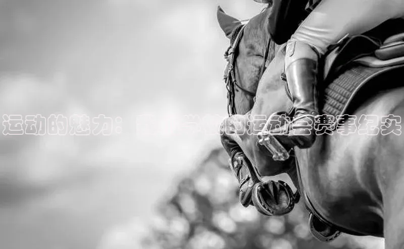 运动的魅力：我们学校的运动会赛事纪实