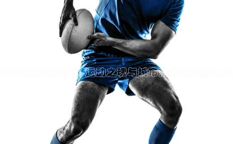 贵港市体育盛事：运动之魂与城市魅力的交融之旅