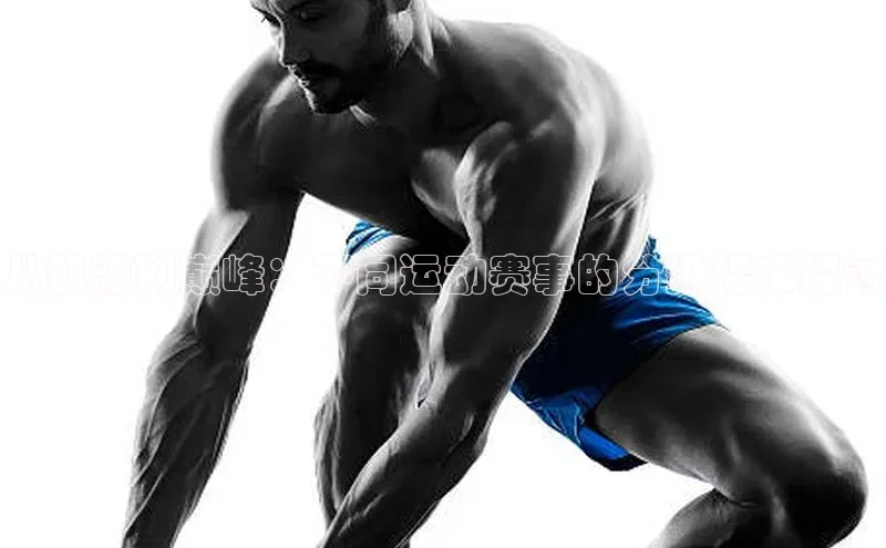 从起源到巅峰：不同运动赛事的分级标准探讨