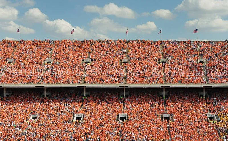 旋律中的赛场：探讨运动赛事中融入的音乐元素