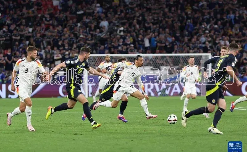 荣耀巅峰：健身竞技的魅力