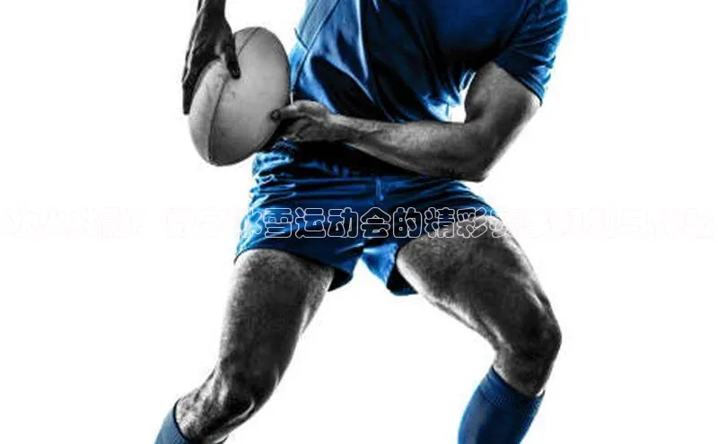 冰火共融：数字冰雪运动会的精彩赛事规划与体验