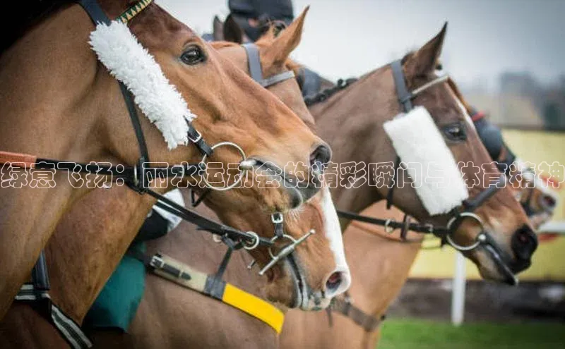 华会体育官方网站首页登录入口