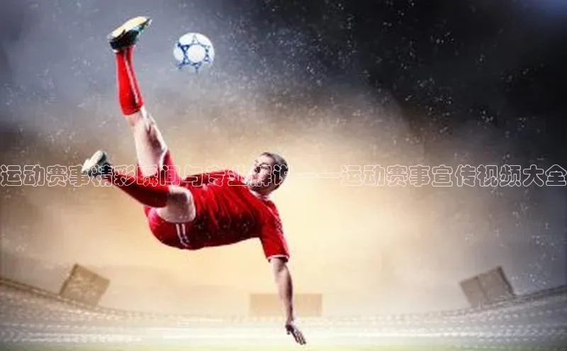 华体会hth最新登录