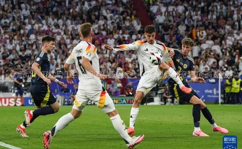 曲靖市：活力与健康的多样运动盛会——2023年体育运动赛事概览