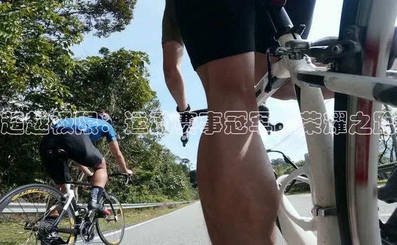 华体会体育最新首页登录