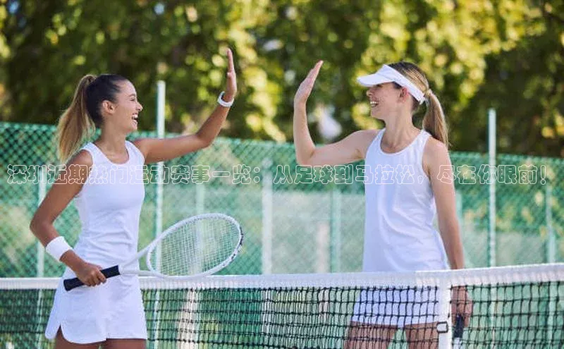 华会体育官方网站首页登录入口